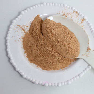 GUFAITH 100% เมลาไมน์ โมลด์ปู๊ด อามิโนเรซิน สินค้าอาหารวัสดุแท้สําหรับเครื่องมืออาหารคุณภาพสูง (สเปนจาน) - Fujian