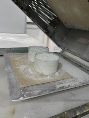 การบ่มอย่างรวดเร็วของผงเมลามีนผงวัตถุดิบเกลือสเปรย์ความต้านทานSGS