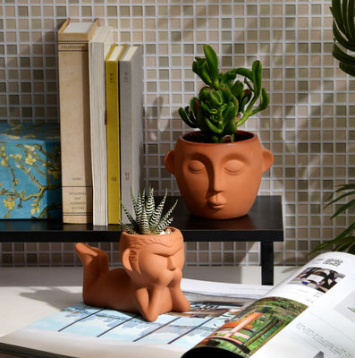 ภายในถังพืชเทราโคต้าขนาดเล็ก ทนต่อคราบ