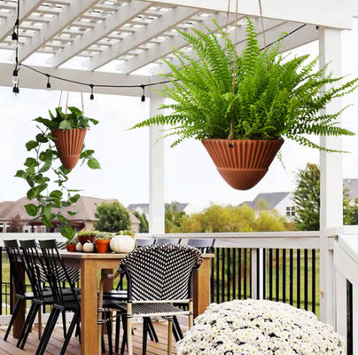 เครื่องปลูกพืชแขวนสําหรับพืชภายในบ้าน เครื่องปลูกพืชแขวนเทรากอต้า เครื่องปลูกพืชแขวนเซรามิก เครื่องปลูกพืชแขวนกระปุก เครื่องปลูกพืชแขวน