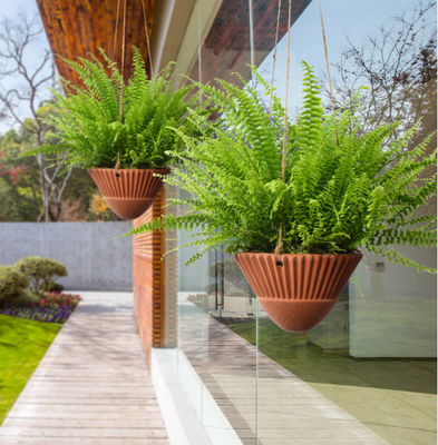 เครื่องปลูกพืชแขวนสําหรับพืชภายในบ้าน เครื่องปลูกพืชแขวนเทรากอต้า เครื่องปลูกพืชแขวนเซรามิก เครื่องปลูกพืชแขวนกระปุก เครื่องปลูกพืชแขวน