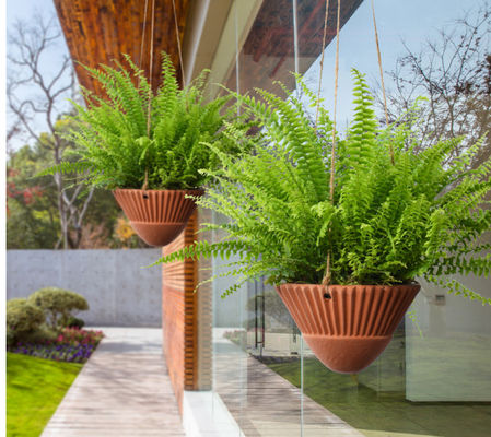 วางกระถางทองดินแขวนตึก ทนต่อการแตก