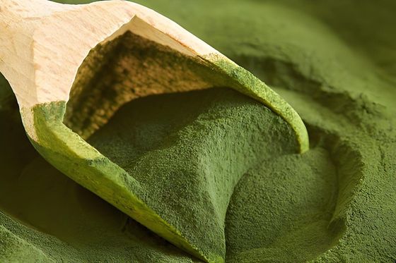 สารผสมการพิมพ์เมลาไมน์ ม.ม.ค.