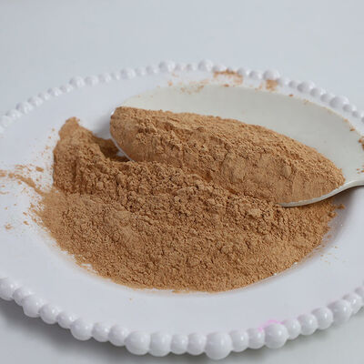 GUFAITH 100% เมลาไมน์ โมลด์ปู๊ด อามิโนเรซิน สินค้าอาหารวัสดุแท้สําหรับเครื่องมืออาหารคุณภาพสูง (สเปนจาน) - Fujian